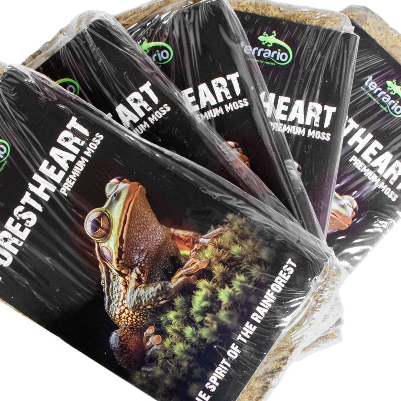 TERRARIO ForestHeart Sphagnum Moss Mech Torfowiec 100g do Terrarium