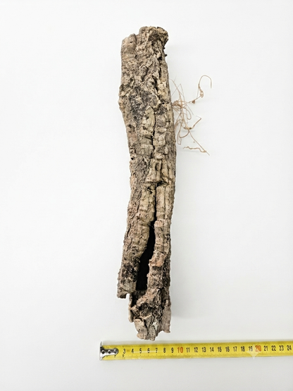 Tuba korkowa do terrarium ok. 37cm średnica otworu ok 3-4cm