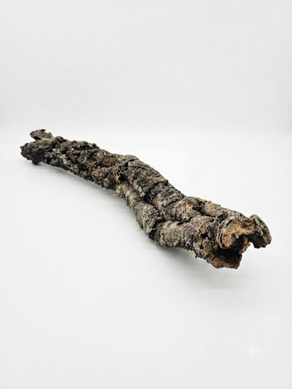 Tuba korkowa do terrarium ok. 55cm średnica otworu ok 3-4cm