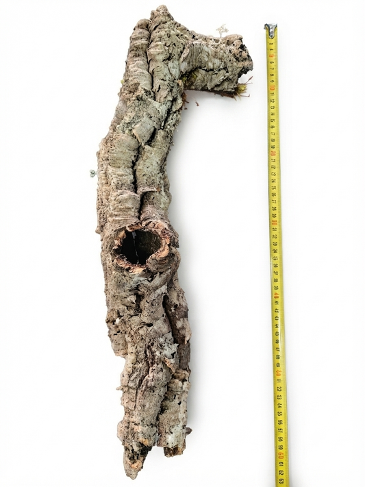 Tuba korkowa do terrarium ok. 53cm średnica otworu ok 6cm