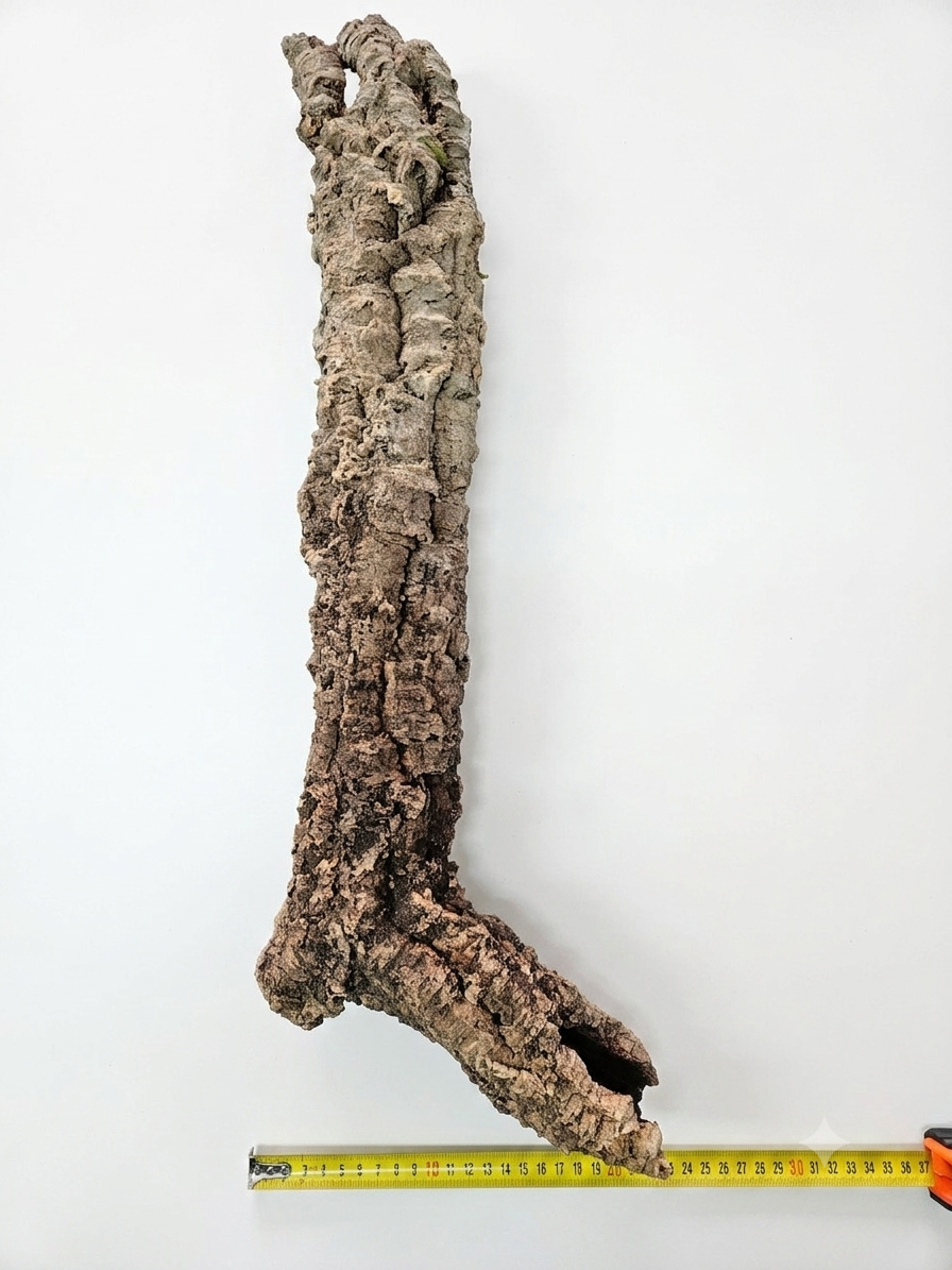 Tuba korkowa do terrarium ok. 60cm średnica otworu ok 3-4cm