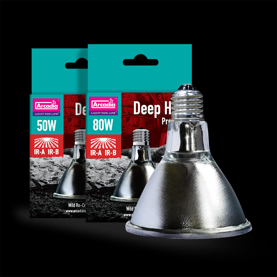 ARCADIA Deep Heat Projector 80W Projektor Ciepła DHP Podczerwień E27