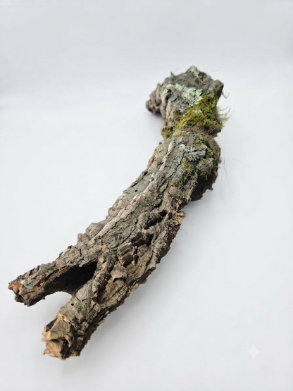 Tuba korkowa do terrarium ok. 55cm średnica otworu ok 3-4cm