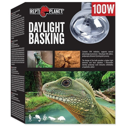REPTI PLANET żarówka grzewcza dzienna DAYLIGHT BASKING Spot 100W