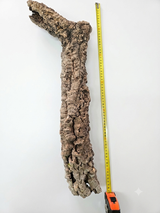 Tuba korkowa do terrarium ok. 60cm średnica otworu ok 3-4cm