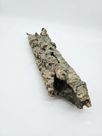 Tuba korkowa do terrarium ok. 42cm średnica otworu ok 5-6cm