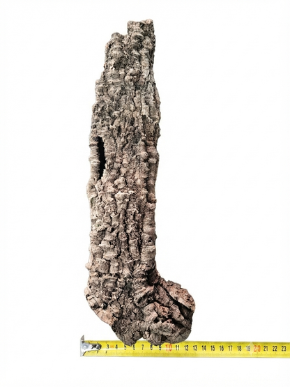 Tuba korkowa do terrarium ok. 35cm średnica otworu ok 6cm