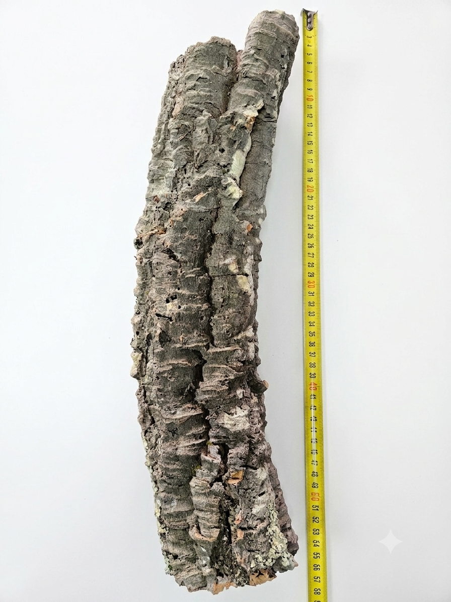 Tuba korkowa do terrarium ok. 48cm średnica otworu ok 6-7cm