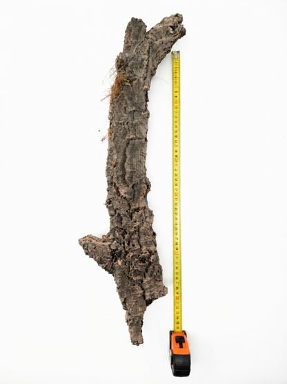 Tuba korkowa do terrarium ok. 77cm średnica otworu ok 3-6cm