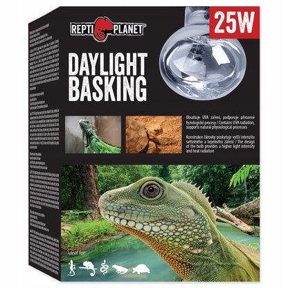 REPTI PLANET żarówka grzewcza dzienna DAYLIGHT BASKING Spot 25W