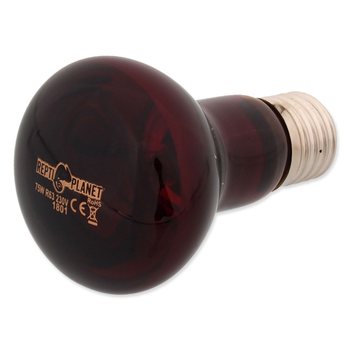 REPTI PLANET Infrared  Heat żarówka grzewcza Spot 75W do terrarium