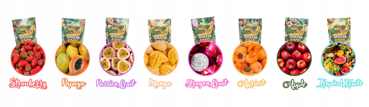 BioGecko Food Banan + Papaja 30g - pokarm (papka) dla gekonów
