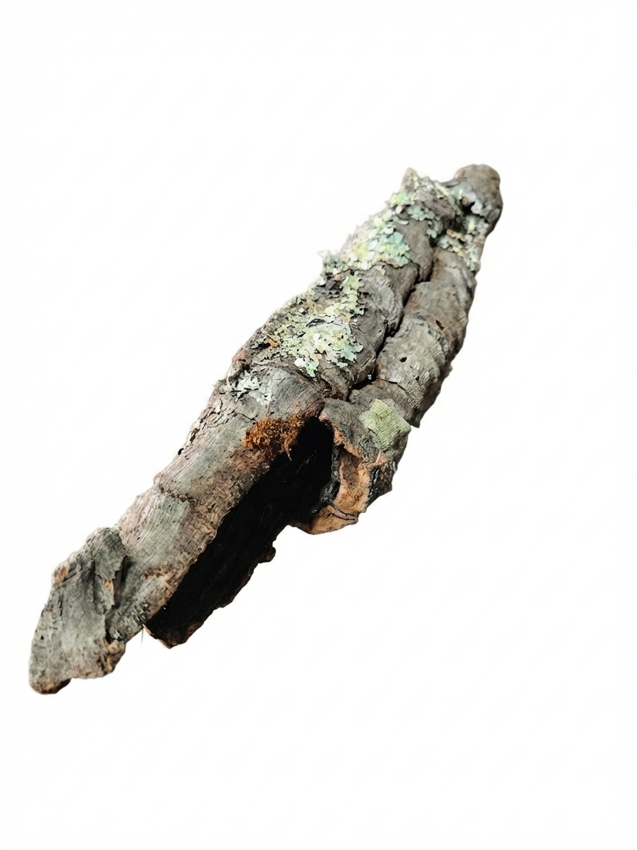 Tuba korkowa do terrarium ok. 39cm średnica otworu ok 3cm