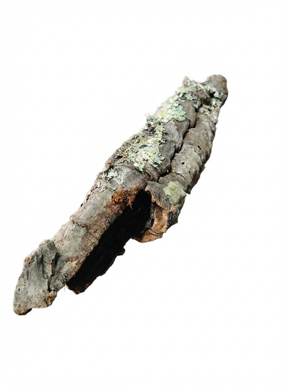 Tuba korkowa do terrarium ok. 39cm średnica otworu ok 3cm