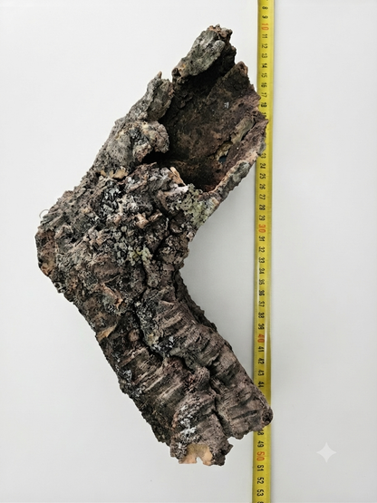 Tuba korkowa do terrarium ok. 35cm średnica otworu ok 5-6cm