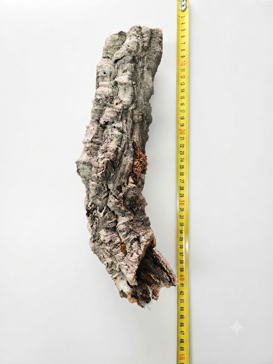 Tuba korkowa do terrarium ok. 33cm średnica otworu ok 3-4cm