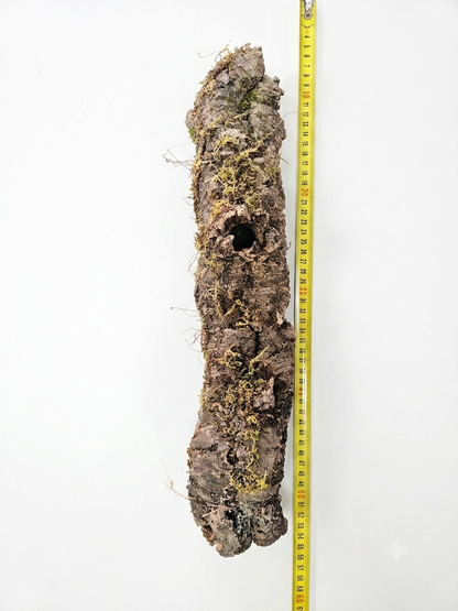 Tuba korkowa do terrarium ok. 44cm średnica otworu ok 4cm
