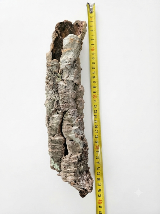 Tuba korkowa do terrarium ok. 30cm średnica otworu ok 4cm