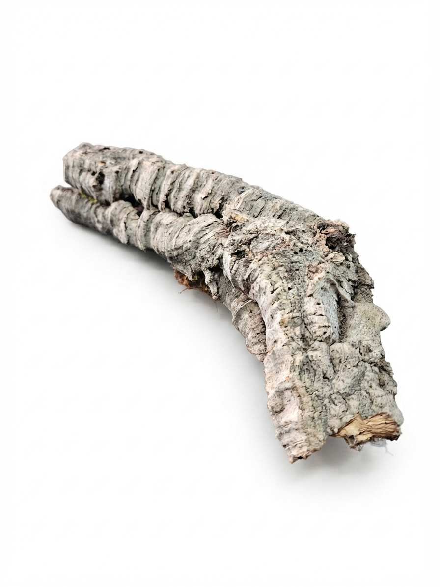 Tuba korkowa do terrarium ok. 33cm średnica otworu ok 3-4cm