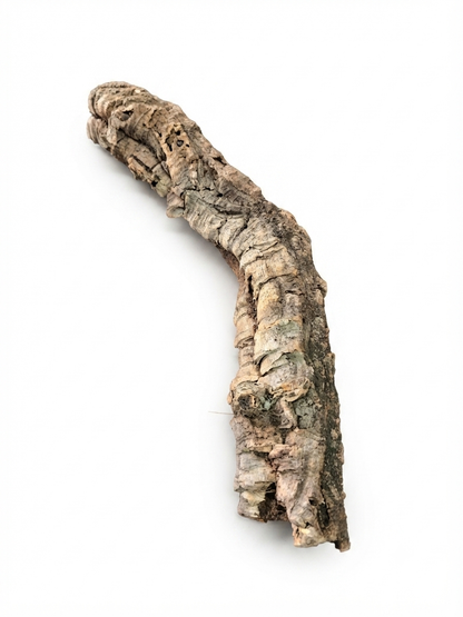Tuba korkowa do terrarium ok. 45cm średnica otworu ok 4cm