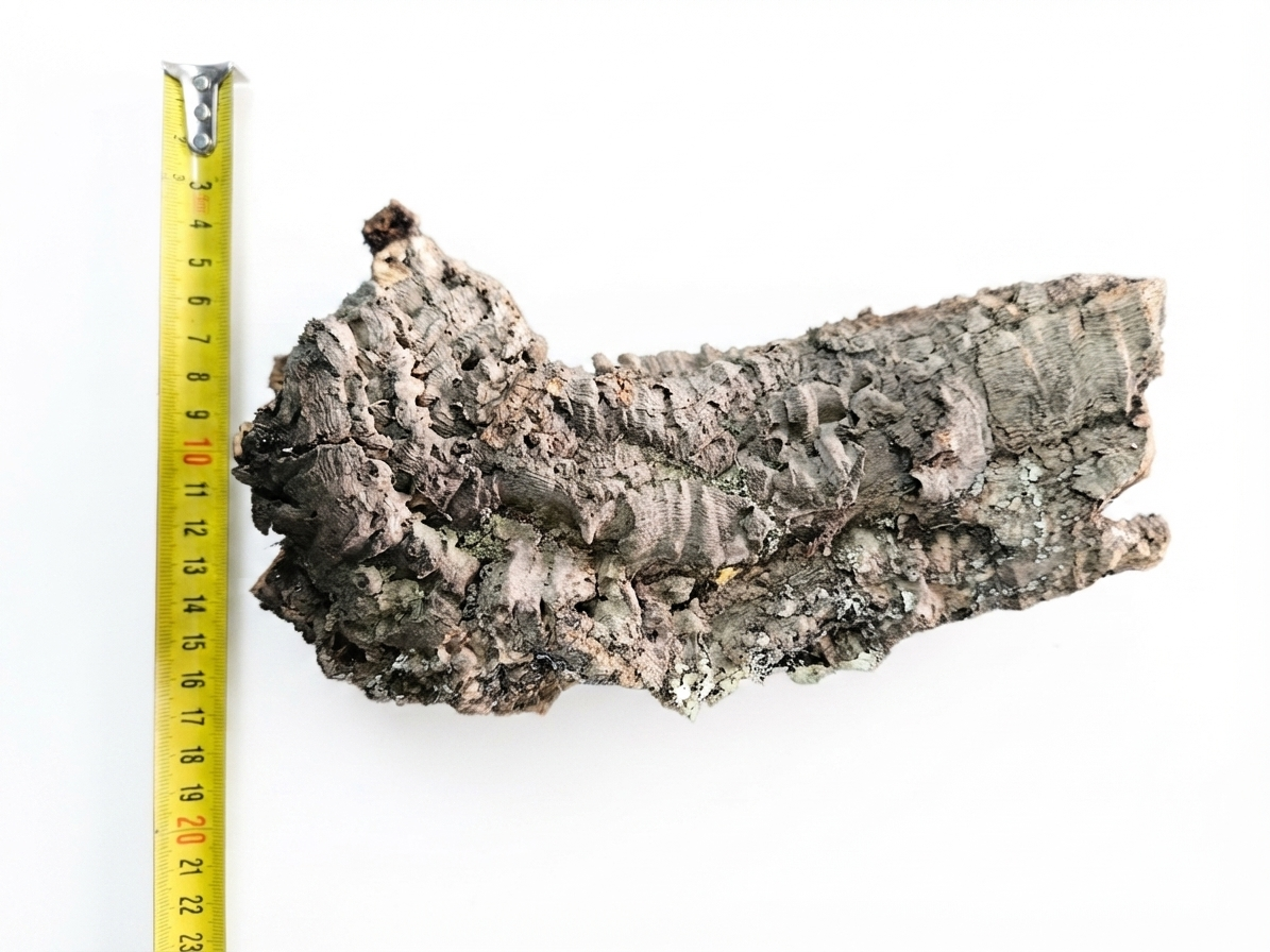 Tuba korkowa do terrarium ok. 20cm średnica otworu ok 6cm