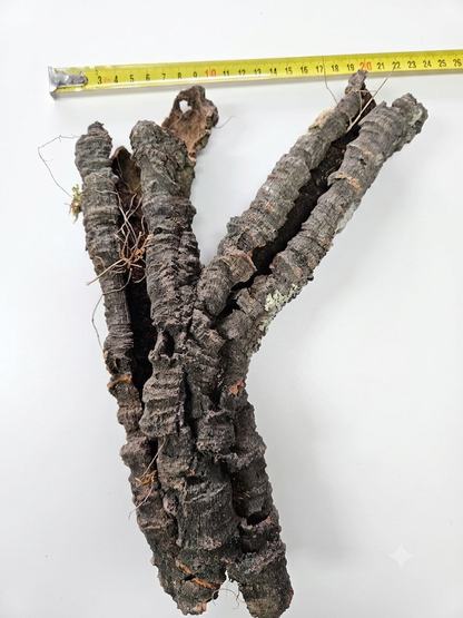 Tuba korkowa do terrarium ok. 35cm średnica otworu ok 3-4cm