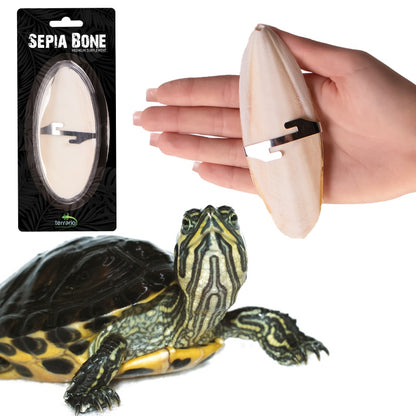 TERRARIO Sepia Bone Całość z Uchwytem Naturalne Wapno 12cm