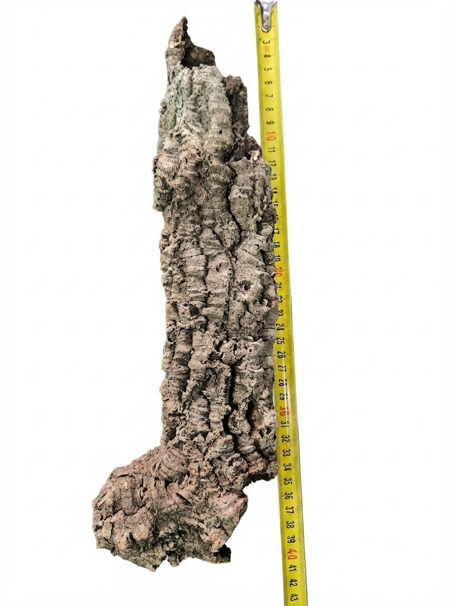 Tuba korkowa do terrarium ok. 35cm średnica otworu ok 6cm