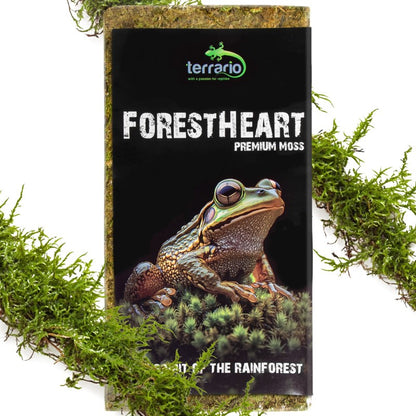 TERRARIO ForestHeart Sphagnum Moss Mech Torfowiec 100g do Terrarium