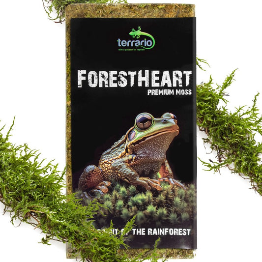 TERRARIO ForestHeart Sphagnum Moss Mech Torfowiec 100g do Terrarium