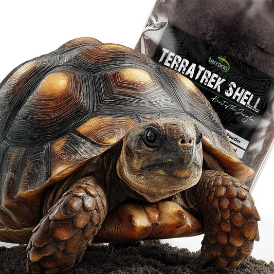 TERRARIO TerraTrek Shell 5l Podłoże Ziemia dla Żółwi Lądowych