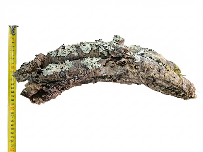 Tuba korkowa do terrarium ok. 43cm średnica otworu ok 3cm