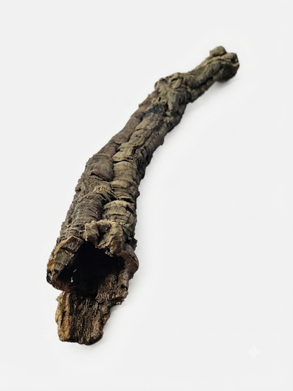 Tuba korkowa do terrarium ok. 50cm średnica otworu ok 2-3cm