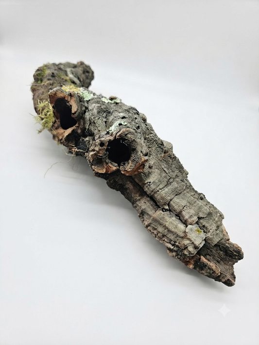 Tuba korkowa do terrarium ok. 55cm średnica otworu ok 3-4cm