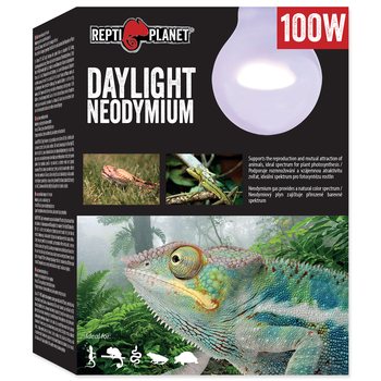 REPTI PLANET Daylight Neodymium - Neodymowa żarówka grzewcza dzienna 100W