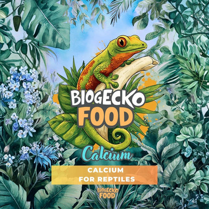 BioGecko Food Calcium for Reptiles (Wapno dla gadów płazów) bez D3 50g