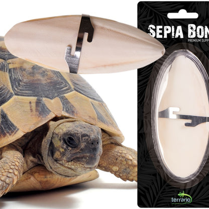 TERRARIO Sepia Bone Całość z Uchwytem Naturalne Wapno 12cm