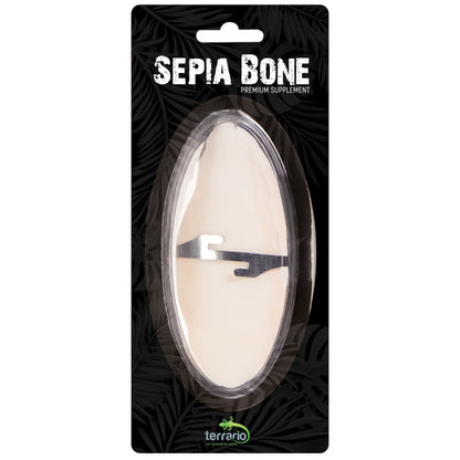 TERRARIO Sepia Bone Całość z Uchwytem Naturalne Wapno 12cm
