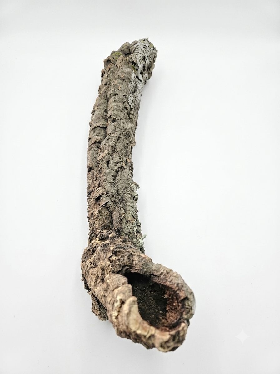 Tuba korkowa do terrarium ok. 60cm średnica otworu ok 3-4cm