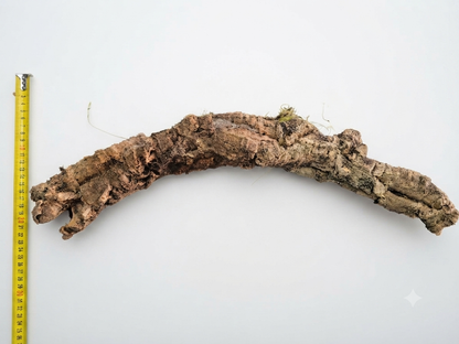 Tuba korkowa do terrarium ok. 55cm średnica otworu ok 3-4cm