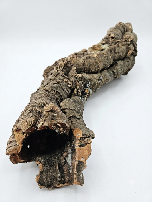 Tuba korkowa do terrarium ok. 42cm średnica otworu ok 4cm