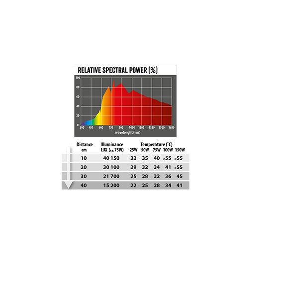 REPTI PLANET żarówka grzewcza dzienna DAYLIGHT BASKING Spot 100W