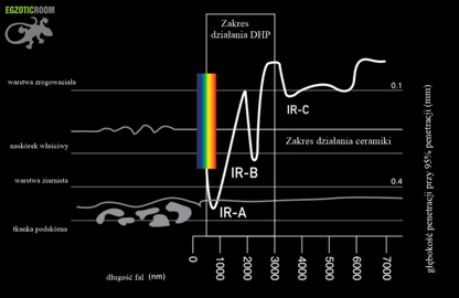 ARCADIA Deep Heat Projector 80W Projektor Ciepła DHP Podczerwień E27