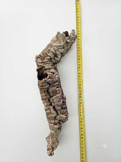 Tuba korkowa do terrarium ok. 40cm średnica otworu ok 3cm