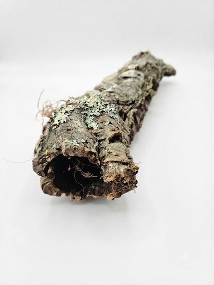 Tuba korkowa do terrarium ok. 43cm średnica otworu ok 5cm