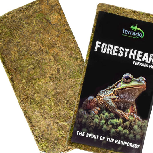TERRARIO ForestHeart Sphagnum Moss Mech Torfowiec 100g do Terrarium