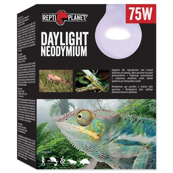 REPTI PLANET Daylight Neodymium - Neodymowa żarówka grzewcza dzienna 75W
