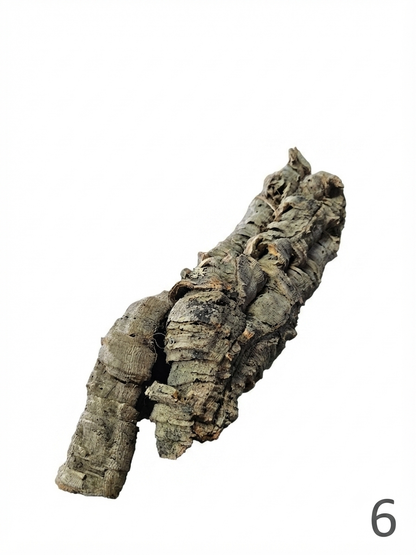 Tuba korkowa do terrarium ok. 40cm średnica otworu ok 5cm