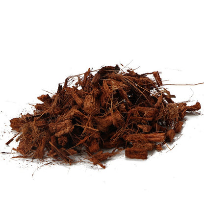 TERRARIO Madidi Rainforest 5L Podłoże Drobne Zrębki Kokosa do Terrarium