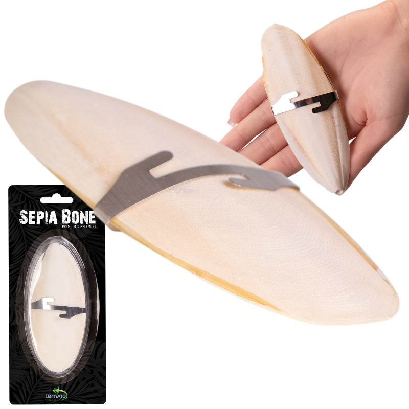 TERRARIO Sepia Bone Całość z Uchwytem Naturalne Wapno 12cm
